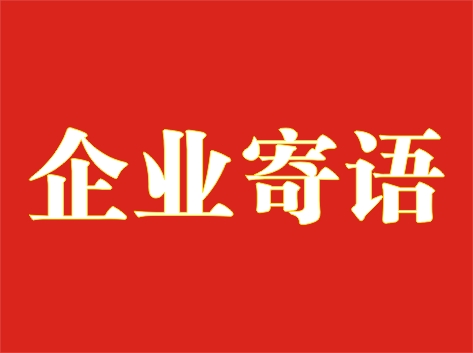 XXX 集团有限公司